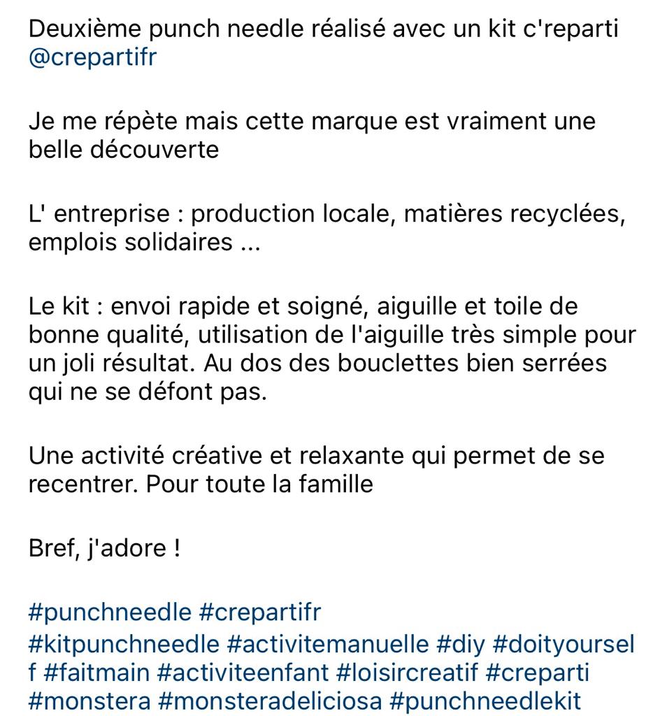 punch needle adultes montagnes