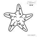 punch needle étoile de mer