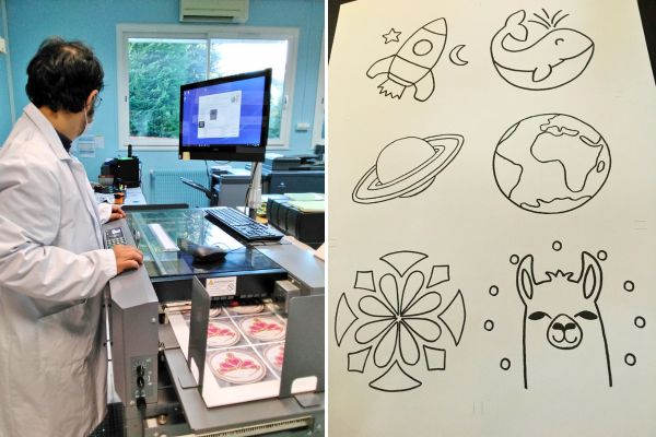 repro c'reparti Découpe des motifs sur papier recyclé par personnes en situation de handicap pour les kits de punch needle